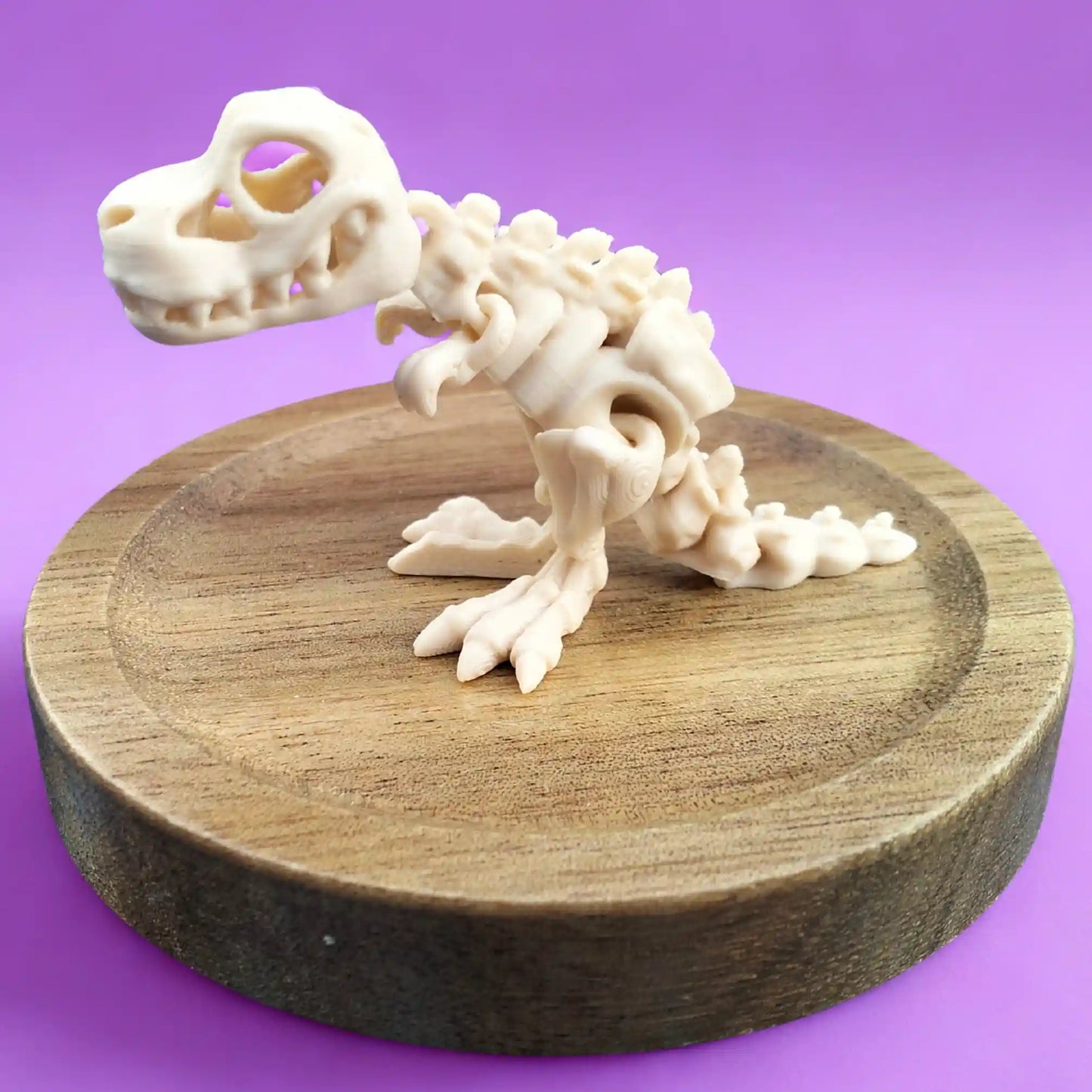 T-Rex Skeleton