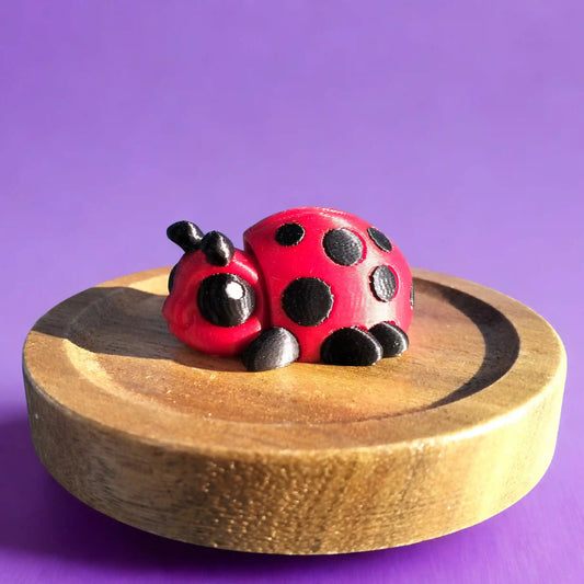 Ladybird